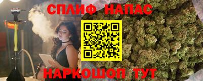 гидра Тверь