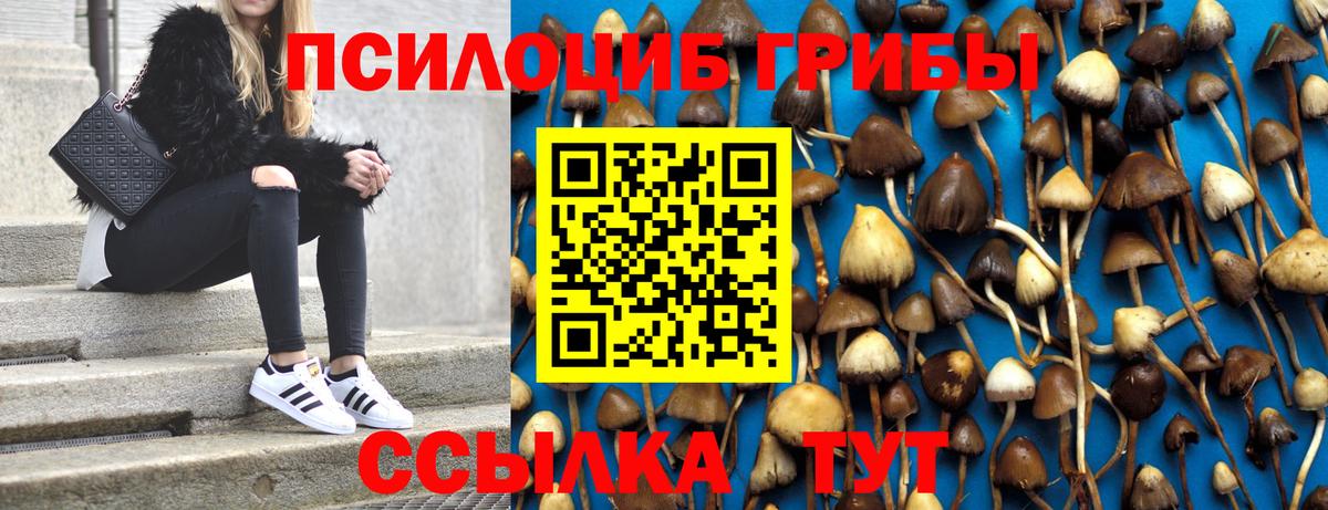 Псилоцибиновые грибы Psilocybine cubensis Нурлат