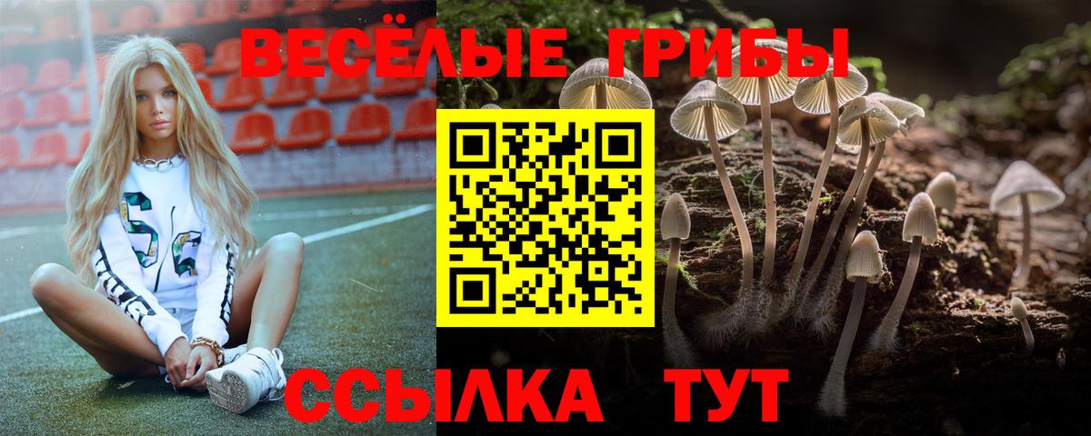 Псилоцибиновые грибы мицелий  Вход с VPN  наркота  Галлюциногенные грибы прущие грибы  Нурлат 